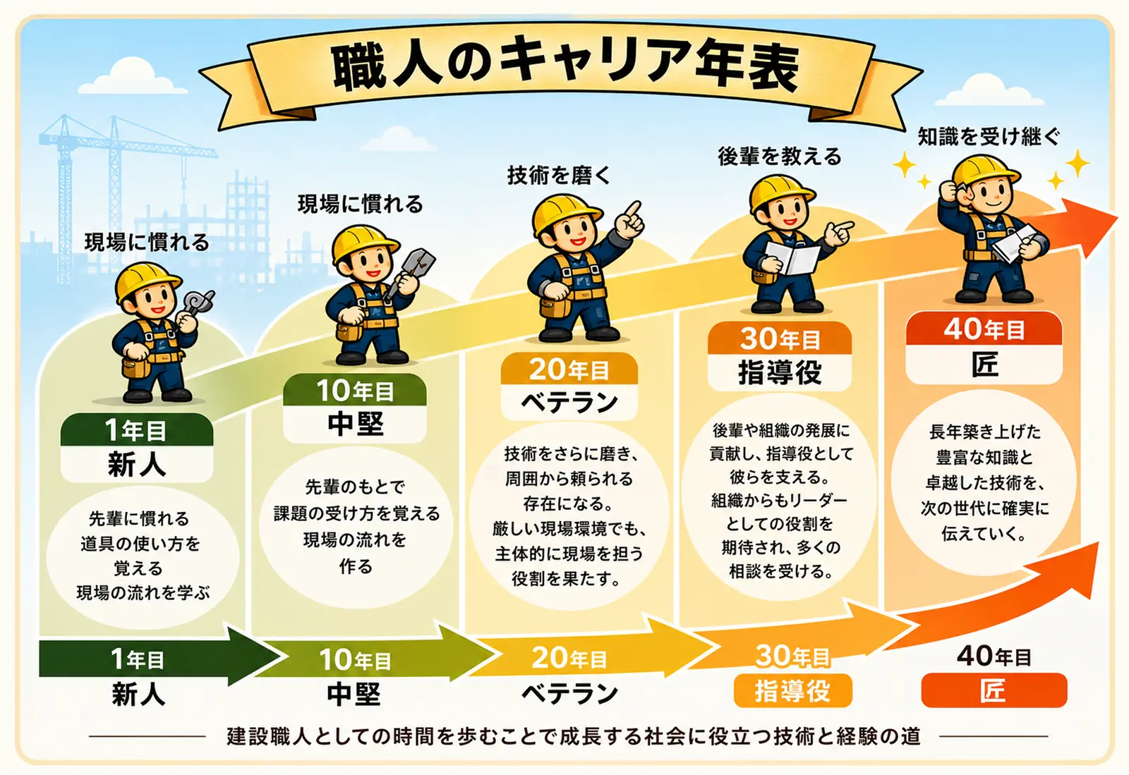 職人のキャリア年表。1年目の新人から40年目の匠まで、成長の段階が示されたインフォグラフィックです。